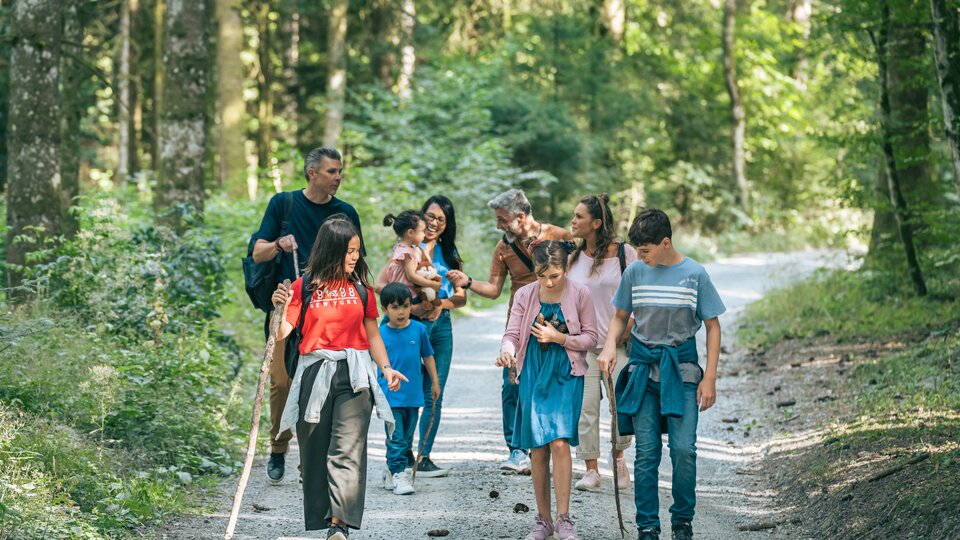 Besucher:in auf dem Space Eye Erlebnispfad im grünen Wald zwischen Bäumen bei Dämmerung.